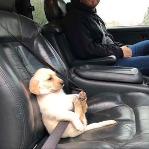 Meet your Posher, Emma